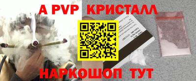 гидра Гай
