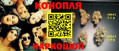 гидра Гай