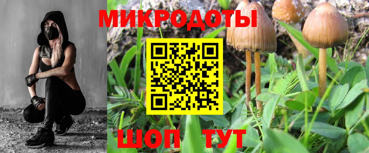 Псилоцибиновые грибы Psilocybine cubensis Избербаш